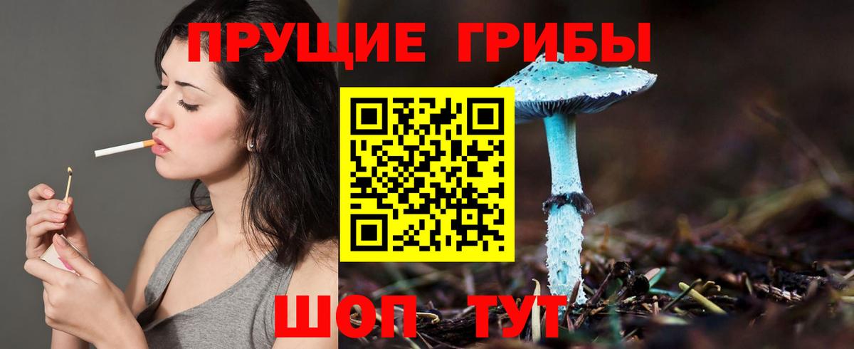 Галлюциногенные грибы Psilocybe Домодедово